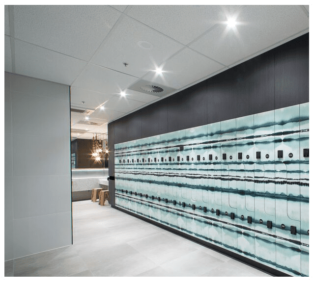 Invincibility systems essay image